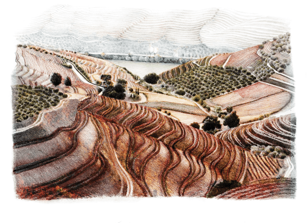 ilustracao-vinha-do-bispado